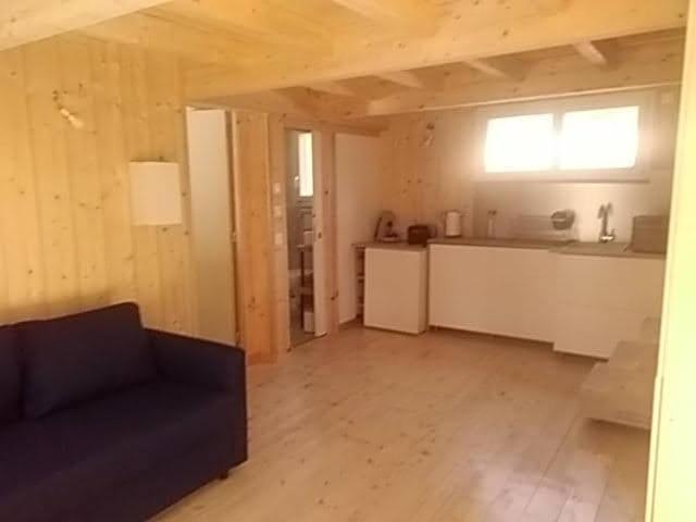 Studio Dans Les Pins Lacanau Apartment Exterior photo
